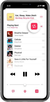 apple music 繰り返し再生: 音楽のループがもたらす心理的影響