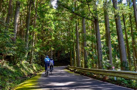 熊野古道 ツアー 2泊3日 - 古代の道を歩きながら、未来の自分と対話する旅